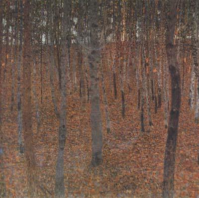 Gustav Klimt Beech Forest I (mk20) Norge oil painting art